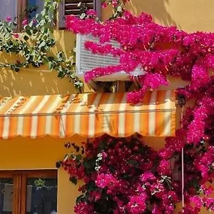 In The Heart Of Tuscany Monsummano Terme